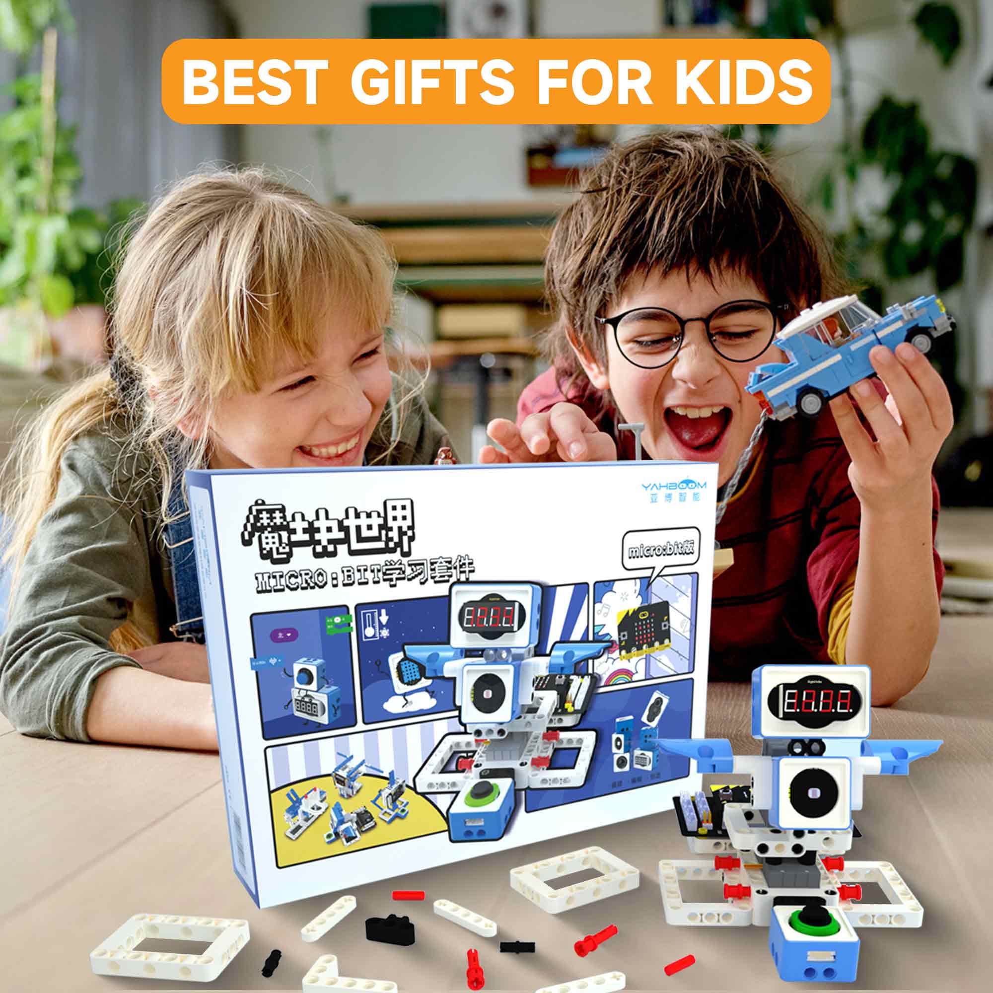 21 in 1 Microbit Robotics Kit  - Diy Electronics Kits For Kids recensie en prijs